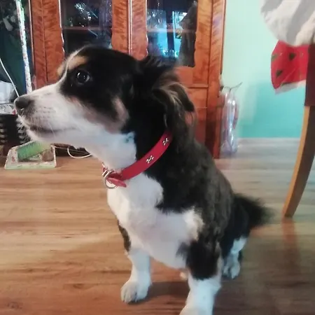 Mirabelka Frühstückspension 3*