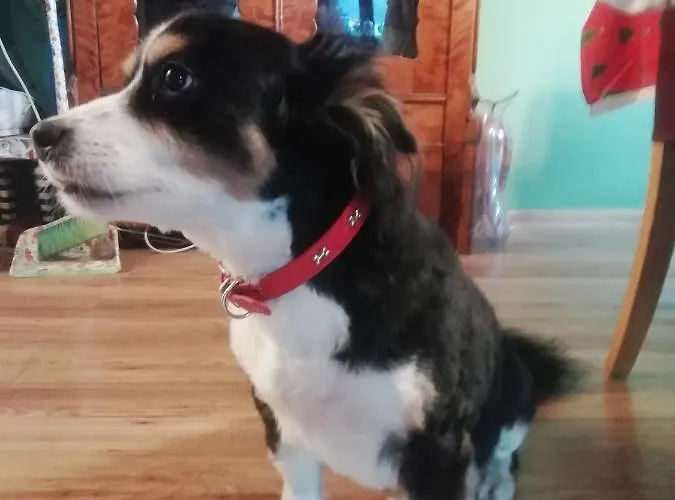 Mirabelka Bed & Breakfast 3*